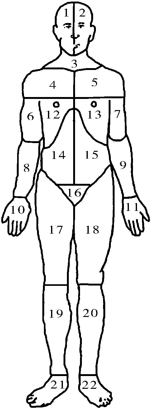 六、45區(qū)體表面積評(píng)分法